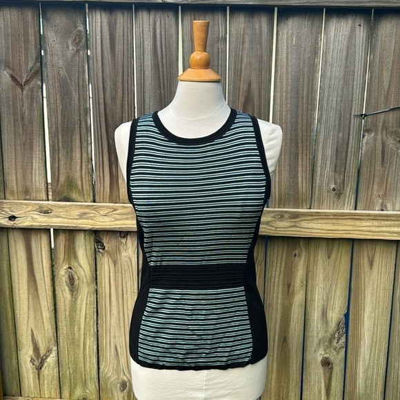 White House Black Market Tops - White House Black Market blue and black striped knit tank, size small